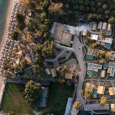 Ergon Beach House Nikiti Bagian luar foto