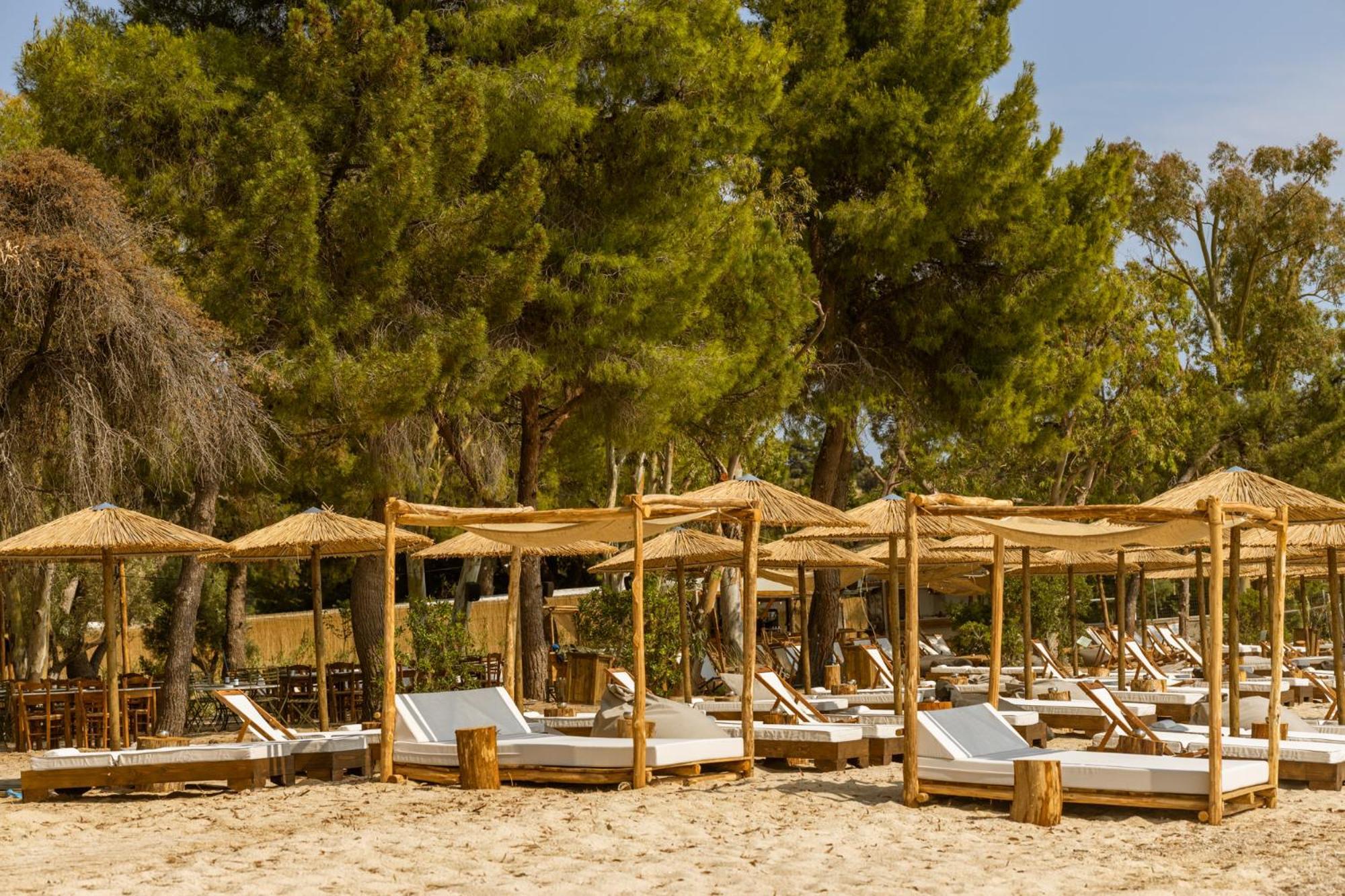 Ergon Beach House Nikiti Bagian luar foto